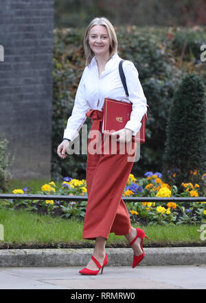 Chief Secretary to the Treasury Elizabeth Truss arrives in Downing Street, London, for a cabinet meeting. Stock Photo
