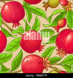 pomegranate vector pattern on color background Stock Vector