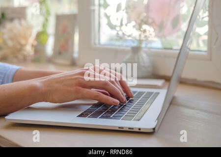 Working at home with laptop woman writing a blog. Female hands on the keyboard. Close up Stock Photo