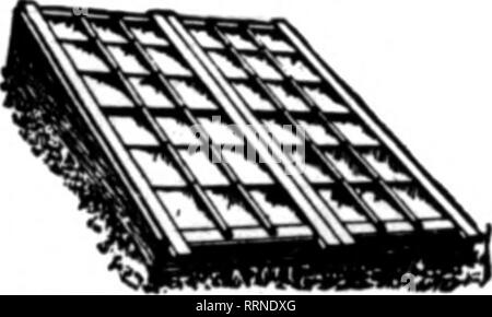 . Florists' review [microform]. Floriculture. be«s »wiCoU-fnme% With Sunken Path With Plant Benches These Sunlight Sashes as adjusted on the greenhouses are removable at will. They may be transferred to Cold Frames or Hotbeds and are incomparably superior to all others for such use. They are complete In themaelves, for they have two layers of glass enclosing an air space that is a better protection than mats and shutters, and does away with buying and using these extra covers. Besides, the plants get all the light all the time and are stronger and earlier, also far more profitable. The Sunligh Stock Photo