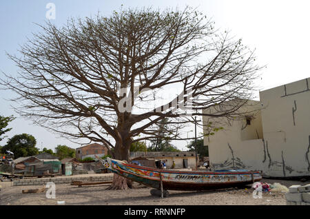 Old baobab tree and pirogues in Joal-Fadiouth, Senegal Stock Photo