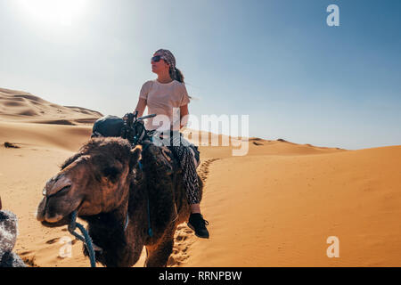 Woman riding camel in sunny sandy desert, Sahara, Morocco Stock Photo