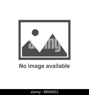 No image available icon. Vector flat Stock Vector