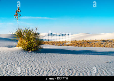 Images from White Sands National Monument in New Mexico Stock Photo