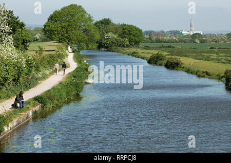 Chichester Ship Canal.  Man fishing.  Walkers on towpath. Chichester Cathedral. Stock Photo