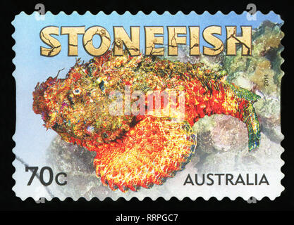 AUSTRALIA - CIRCA 2014 :A Cancelled postage stamp from Australia illustrating Stone fish, issued in 2014 Stock Photo