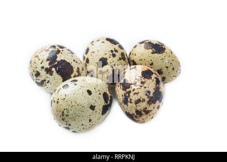 Quail eggs isolated on white. Selective focus. Stock Photo