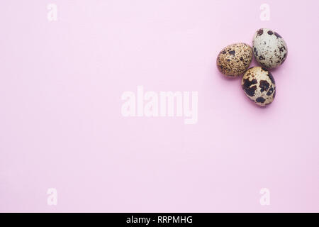 quail eggs on pink background with copy space Stock Photo