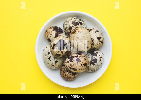 quail eggs on yellow background with copy space Stock Photo