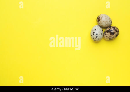 quail eggs on yellow background with copy space Stock Photo