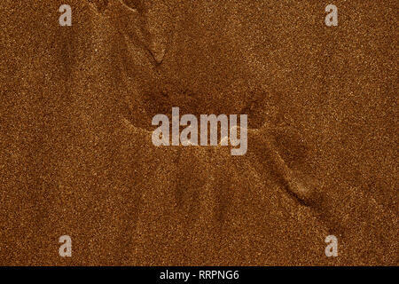 closeup of a wet sand background with a natural pattern Stock Photo