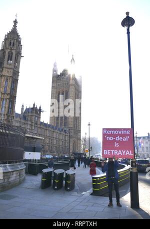 London, UK. 26th Feb, 2019. Pro and anti-Brexiteers continue to protest outside Parliament. Credit: Brian Minkoff/Alamy Live News Stock Photo