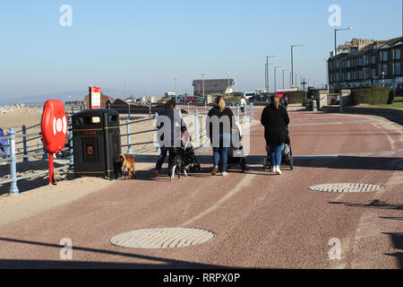 Morecambe beach, Lancashire. 26th Feb 2019. UK Weather: Pedestrians walking their dog in Morecambe making the most of the exceptionally hot and sunny weather with temperatures of 16c Credit: Ann Astbury/Alamy Live News Stock Photo