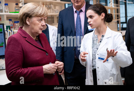 26 February 2019, Berlin: Federal Chancellor Angela Merkel (l, CDU) is shown a seven-week-old 'mini-brain' (organoid) in a Petri dish under the microscope by doctoral student Zoe Mendelsohn in a laboratory at the opening of a new research building of the Max Delbrück Center for Molecular Medicine (MDC). The Berlin Institute for Medical Systems Biology (BIMSB) will move into the building. At the new site, some 250 scientists will research how genes control the life of cells in health and disease. Photo: Bernd von Jutrczenka/dpa Stock Photo