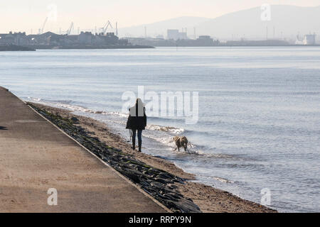 Holywood, County Down, Northern Ireland. 26 February 2019. UK weather - glorious sunshine on the coast of Belfast Lough at Holywood. Plenty of people about taking in the exceptional late winter weather with temperatures around 16 C. Credit: David Hunter/Alamy Live News. Stock Photo