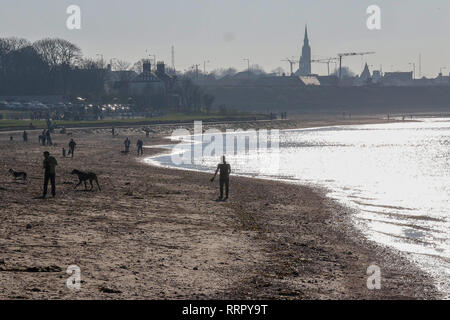 Holywood, County Down, Northern Ireland. 26 February 2019. UK weather - glorious sunshine on the coast of Belfast Lough at Holywood. Plenty of people about taking in the exceptional late winter weather with temperatures around 16 C. Credit: David Hunter/Alamy Live News. Stock Photo