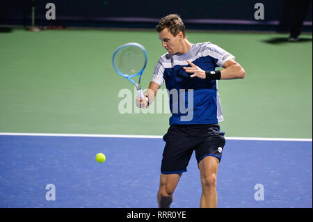 Dubai, UAE. 26th February 2019. Tomáš Berdych of Czech Republic on his way to victory against Ilya Ivashka of Belarus in the Round of 32 at the 2019 Dubai Duty Free Tennis Championships. Berdych won 6-4, 4-6. 7-6 (7-4) Stock Photo