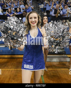 Amherst, New York, USA. 26th Feb 2019. Members of the UB Dazzlers perform during the first half of play in the NCAA Basketball game between the Akron Zips and Buffalo Bulls at Alumni Arena in Amherst, N.Y. (Nicholas T. LoVerde/Cal Sport Media) Credit: Cal Sport Media/Alamy Live News Stock Photo
