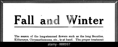 . Florists' review [microform]. Floriculture. ?'&quot;;'?.' . '&quot;.V • August 19. 1916. The Rofists' Revkw 49. I I I I I I I I I' Winter The season of the loDg-stemmed flowers such as the long Beauties, Killarneys, Chrysanthemums, etc., is at hand. The. proper treatment of such decorative stock is aided most effectively by using long handled baskets such as the one in the illustration herewith. It is an easy matter to include the basket in the sale of the flowers.. Please note that these images are extracted from scanned page images that may have been digitally enhanced for readability - co