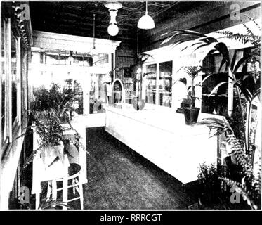 . Florists' review [microform]. Floriculture. New Store of A. Steffefer, on tlie Southwest Side of Chicago.. Please note that these images are extracted from scanned page images that may have been digitally enhanced for readability - coloration and appearance of these illustrations may not perfectly resemble the original work.. Chicago : Florists' Pub. Co Stock Photo