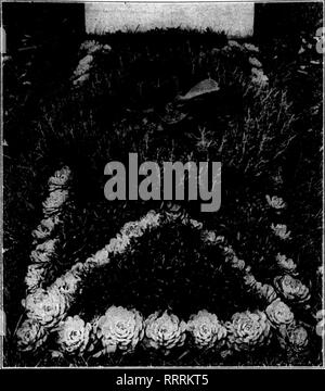 Scanty Black and White Stock Photos & Images - Page 3 - Alamy