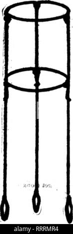 . Florists' review [microform]. Floriculture. 100 The Flotists'Review BBrTKMBKK 24, 1914'. J' FBEDEBICK, MD. The lack of a public flower garden in Frederick, Md., was the subject of much comment at the reception tendered by Frank C. Hargett, of this city, to a number of florists, horticulturists and prominent people of Frederick and the surrounding country.   The occasion was the opening of a gar^n at his home. For some time past Mr. Hargett has been working on this scheme and with the aid of a number of large growers, who contributed a large proportion of the plants and flowers on display, he Stock Photo