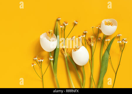 Spring Easter flowers made of eggshell on yellow, creative composition Stock Photo