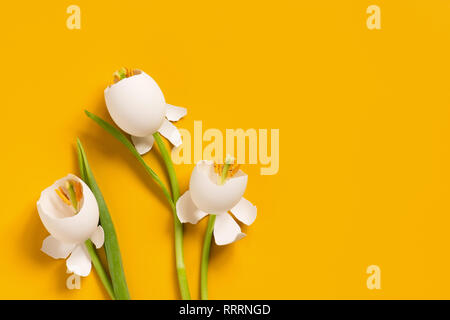 Spring Easter flowers made of eggshell, creative composition Stock Photo