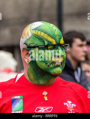 Rugby supporter's face painted with the welsh dragon ahead of the Six Nations Championship between Wales and England on 23 February 2019. Cardiff, UK. Stock Photo