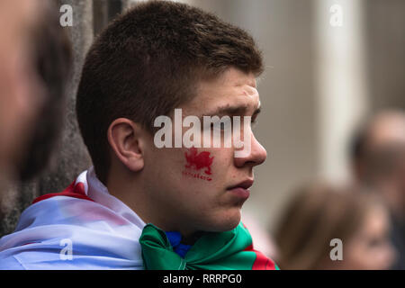 A Welsh supporter in the crowd at Principality Stadium ahead of Six Nations rugby match between Wales and England on 23 February 2019. Cardiff, UK. Stock Photo