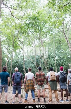 Mens group hiking, standing in a row and bird watching in woods Stock Photo