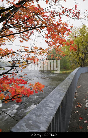Mille-Iles river in autumn, Ile des Moulins public park, Old Terrebonne, Lanaudiere, Quebec, Canada Stock Photo