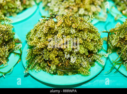 Close-up of freshly harvested green seaweed in portions on plates sold at the Central Wet Market in Puerto Princesa City, Palawan, Philippines Stock Photo