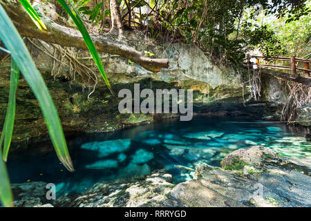 A natural swimming pool at the Cristalino cenote near Tulum, Mexico Stock Photo