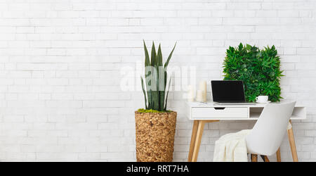 Modern workplace with laptop and plants, empty space Stock Photo
