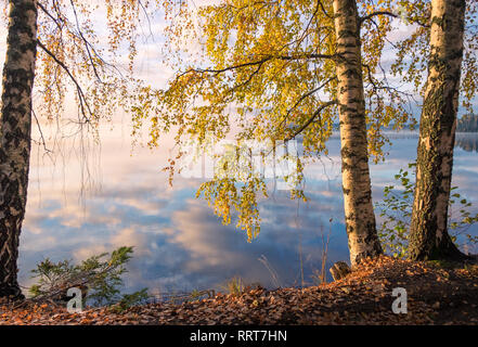 Scenic view of autumn landscape, fall colors trees, blue water, tree reflected in lake, seasons change, sunny morning, autumnal park, fall nature. Stock Photo