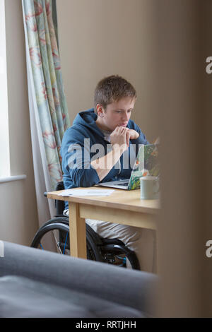 Focused young woman in wheelchair using laptop at dining table Stock Photo