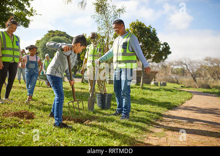 Multi-generation family volunteers planting trees in sunny park Stock Photo