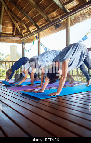 Yoga class practicing downward facing dog pose in hut during yoga retreat Stock Photo