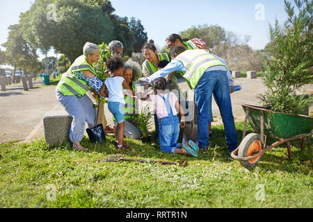 Community volunteers planting trees in sunny park Stock Photo