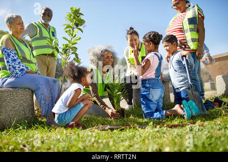 Volunteers planting trees in sunny park Stock Photo