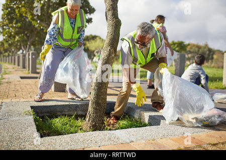 Senior volunteers cleaning up litter in sunny park Stock Photo