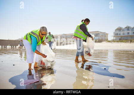 Female volunteers picking up litter on sunny wet sand beach Stock Photo