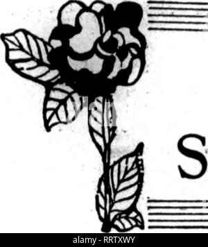 . Florists' review [microform]. Floriculture. ?.?^?; August 7, 10] 3. The Florists^ Rcvkw DOG DAY DOINGS ? , OF THE SHOW WINDOW ARTISTS. Please note that these images are extracted from scanned page images that may have been digitally enhanced for readability - coloration and appearance of these illustrations may not perfectly resemble the original work.. Chicago : Florists' Pub. Co Stock Photo