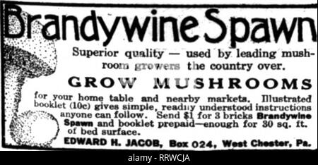 . Florists' review [microform]. Floriculture. AnousT 13. 1914. The Florists^ Review 53 MY NEW WINTER-aOWERING ORCHID SWECT PEA List bms been mmiled. If you have not received a copy, ask for it. My new instructive boolc Commercial Sweet Pea Culture is on the press. Price. 50c. Ant. C. Zvolanek LOMPOC. CAL. Mpntinn The Review when you write. HELLER 6r col MONTPEUER, OHIOL J I HELLER Si »-' MICE ' '.&gt;.PJ?OOF J SEED **, ! CASES ISencT for ICaialoj Na34 Routzahn Seed Co. AKBOYO GRANDE, GAL. SWEET PEA and NASTURTIUM SPECIALISTS Vlboleaale growers of fnll lista of VLOWXB and OAKDEN SEEDS THE L D.W Stock Photo