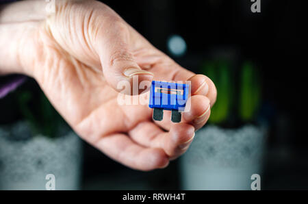 Woman hand holding car accesories - blue amp rated car fuses before inserting them fuse box closeup shot Stock Photo