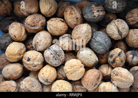 Several raw walnuts in the unpeeled shells, top view. Stock Photo
