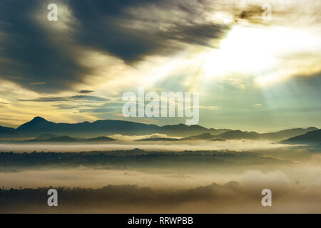 Dawn in tropical mountains Sri Lanka covered thick fog. Stock Photo