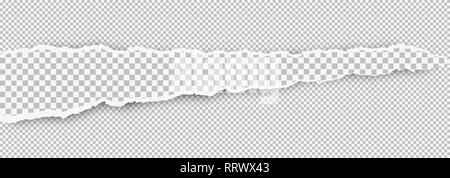Torn squared white horizontal paper strip is on white background with space for text. Vector illustration Stock Vector