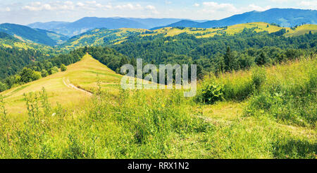 mountainous countryside on a hot summer afternoon. panoramic landscape, path through grassy slope. meadows on the distant rolling hills. village in th Stock Photo